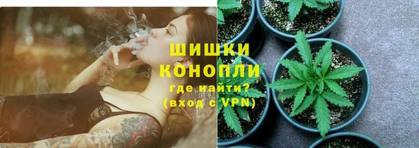 гидра Аркадак