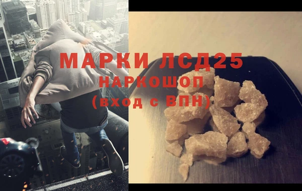 прущие грибы Алексеевка