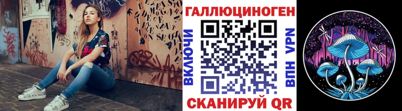 Галлюциногенные грибы Magic Shrooms  Купить где  Заводоуковск 
